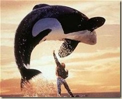 free-willy