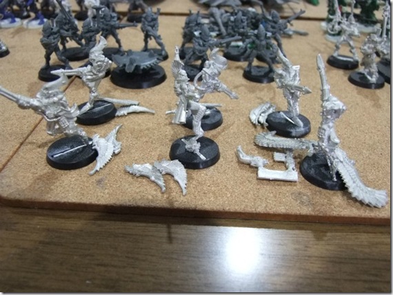 swooping hawks