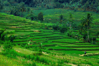 Yogi kardillah: April 2013