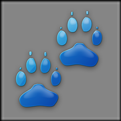 paws blue