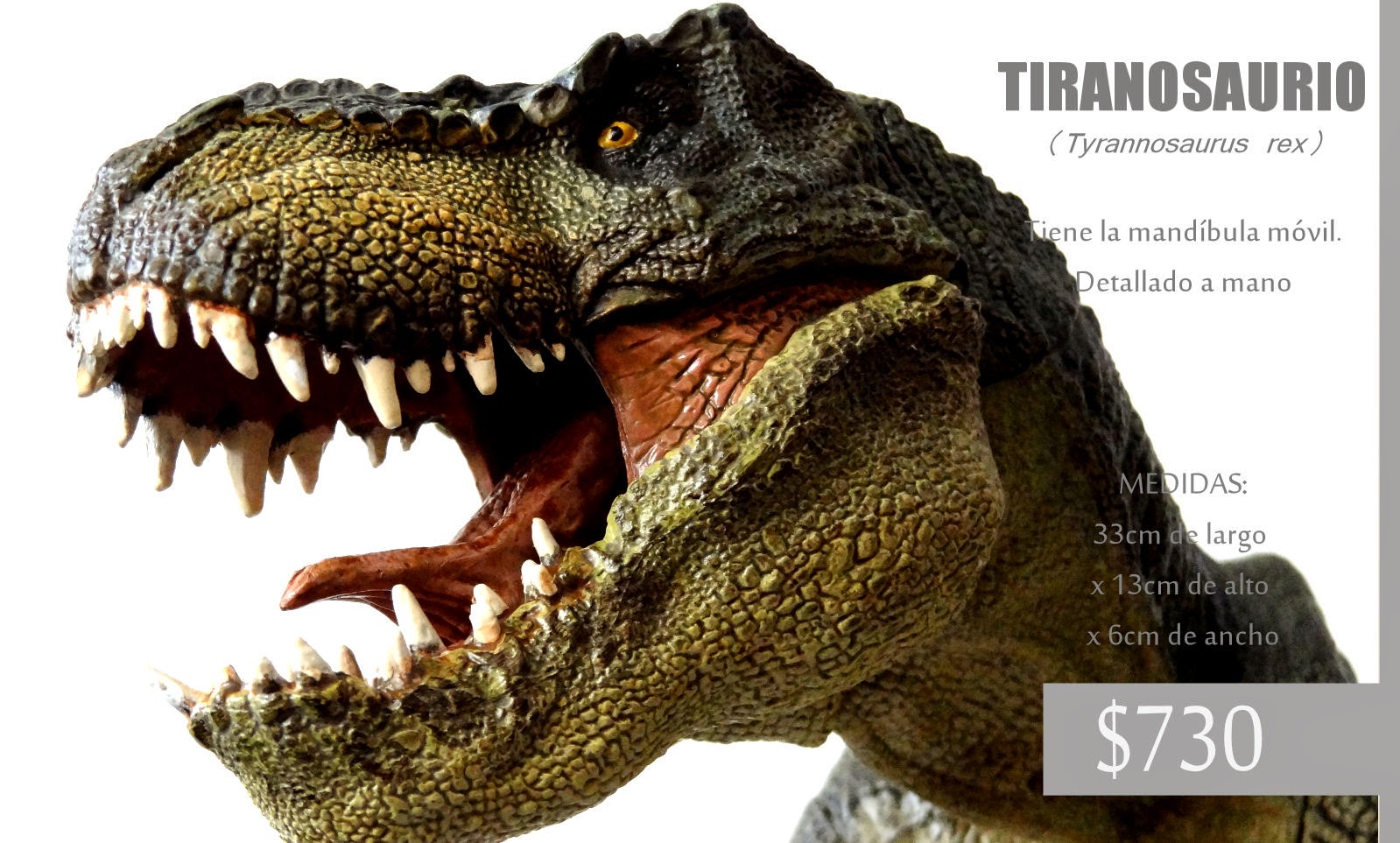 http://paladinos-mexico.com/productos/carnivoros/tyrannosaurus-rex-verde/