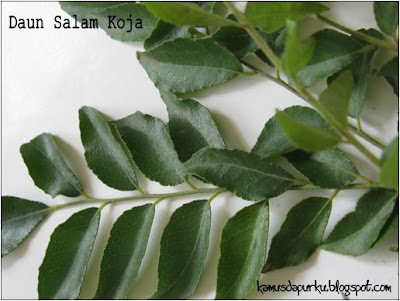 Daun Salam (Daun kari)