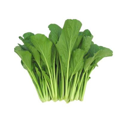 Manfaat sawi hijau bok choy