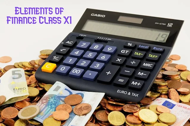 Elements of Finance Class XI
