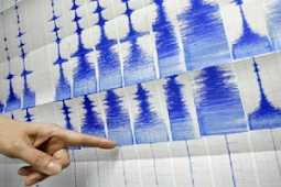 Gempa 5,9 SR Guncang Mamberamo Raya, Tidak Berpotensi Tsunami