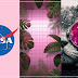 Wallpapers tumblr para o seu Celular: Space, Words, Art