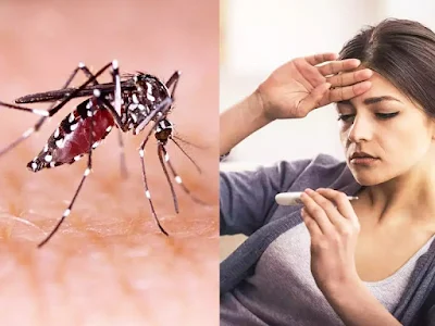 डेंगू बुखार के लिए घरेलू उपचार
