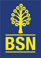 Jawatan Kerja Kosong Bank Simpanan Nasional (BSN)