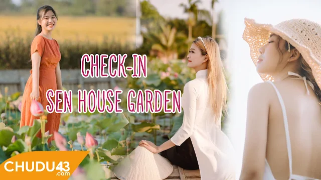 Sen house garden, chụp ảnh sen đà nẵng, chụp ảnh sen quảng nam