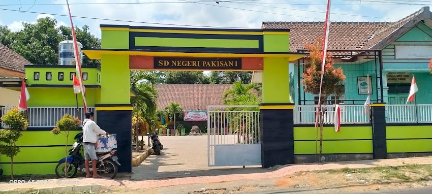 PROFILE SDN PAKISAN 1