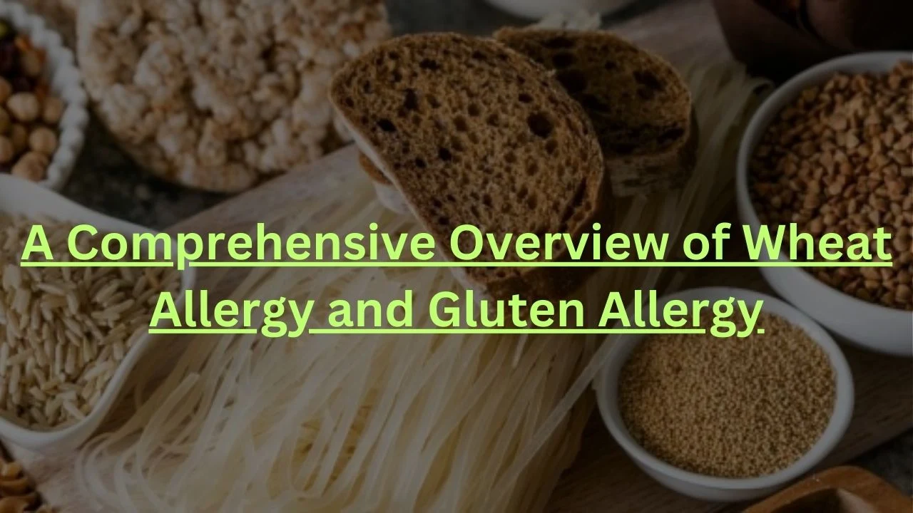 A Comprehensive Overview of Wheat Allergy and Gluten Allergy