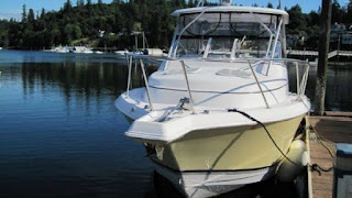 Prolıne 32 Express 2006 Boats for Sale - Prolıne 32 Express Review and Specs Pictures 3