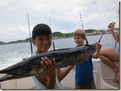 IMG_0642 IMG_0642