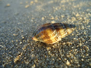 Foto Mare a Ravenna. Eccomi ritornata dalle vacanze! (dsc )