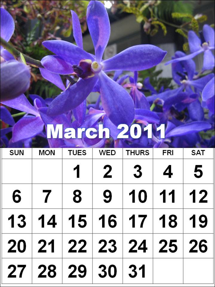 february 2011 calendar print out. http -print out this march