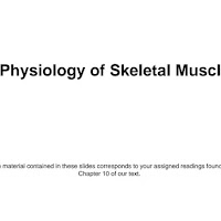 Physiology of Skeletal Muscle PDF | PPT