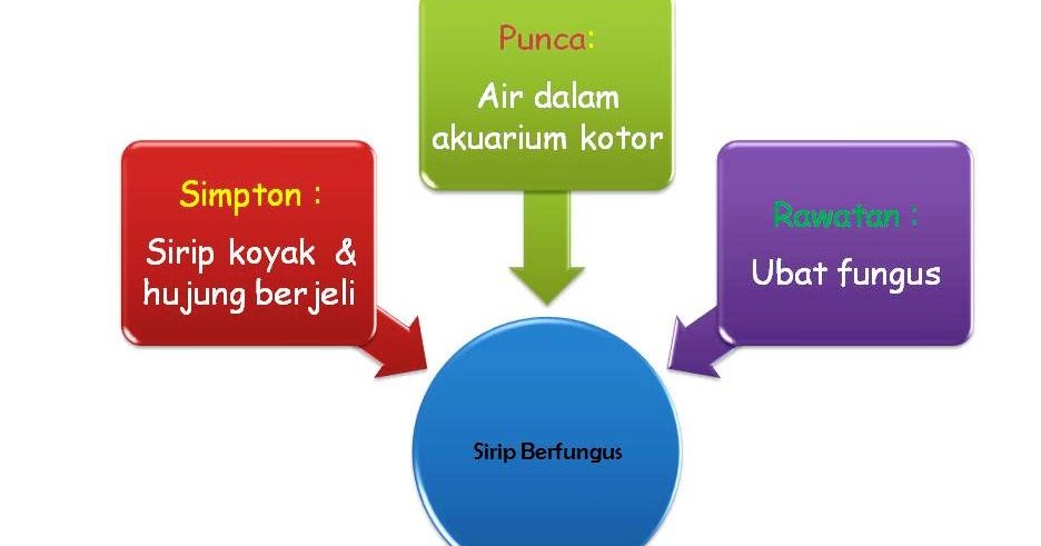 Blog Pendidikan Ikan Hiasan: Mencegah dan merawat penyakit 