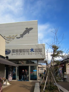 沼津港深海水族館