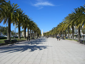 Palm trees in Salou promenade