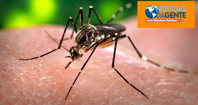 Brasil registra 130% mais mortes por dengue do que todo o ano de 2021