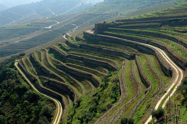 Quinta das Carvalhas