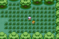 Pokemon Orchid Screenshot 04