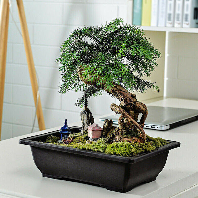 Functional-Large-Garden-Planters: Ultimate-Complete-Review