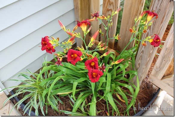 IMG_4885 IMG_4885