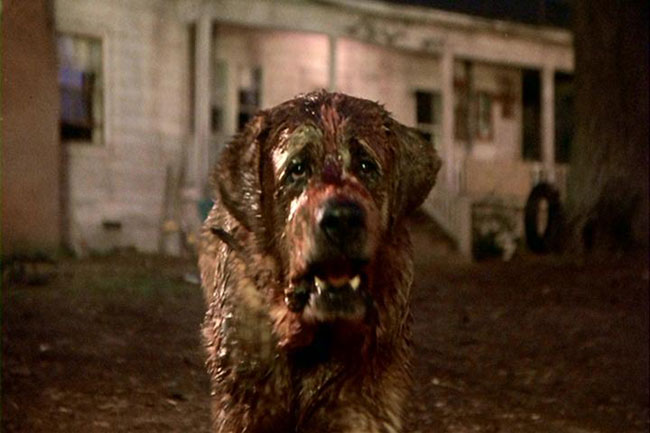 1983 Cujo