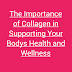 The Importance of Collagen in Supporting Your Bodys Health and Wellness