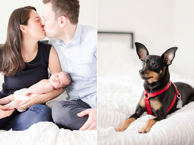 DC Newborn Lifestyle Photography | Photos by Heather Ryan Photography