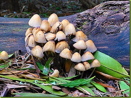 P1080396