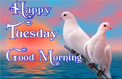 Good morning Tuesday blessings images download