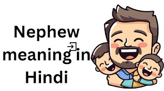Nephew meaning in Hindi