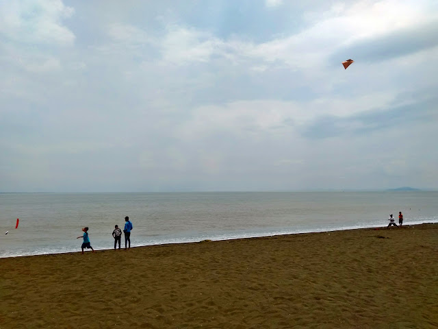 Pantai cemara Banyuwangi