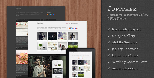 Jupither - Responsive Wordpress Gallery & Blog