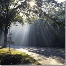 MorningSun01