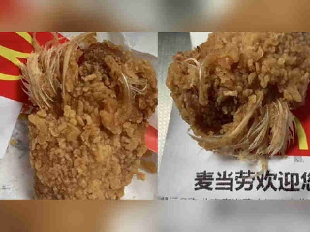 Heboh Bulu Ayam Utuh di Daging Goreng McDonald di Beijing, China