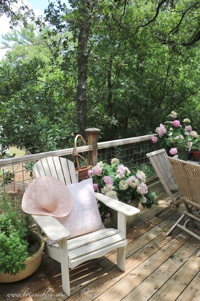 An open summer deck is perfect for growing pink hydrangeas in large containers