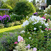 Last Garden Tour of  August