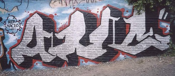 41