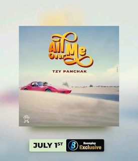 Tzy Panchak All Over Me mp3 Download