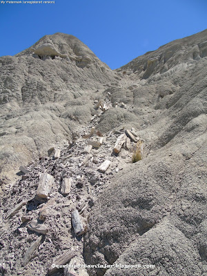 Bosque Petrificado de La Leona - El Calafate