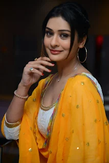 Actress Payal Rajput Stills From Disco Raja Movie Success Meet 