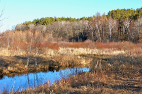 Spring's colors emerge slowly until they're here