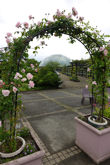 鳥取県西伯郡南部町鶴田 とっとり花回廊 エントランス展示