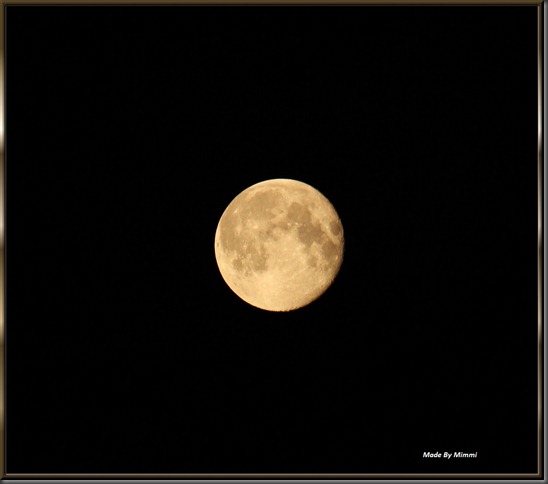 IMG_3072 IMG_3072