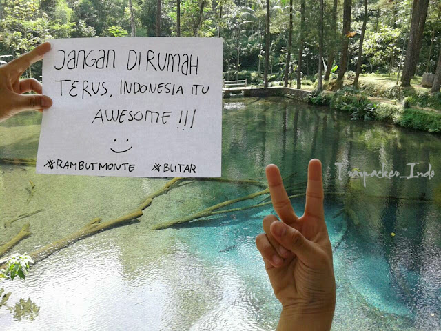 Telaga rambut monte