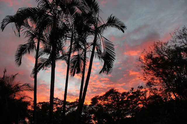 Sonnenuntergang Costa Rica, Samara