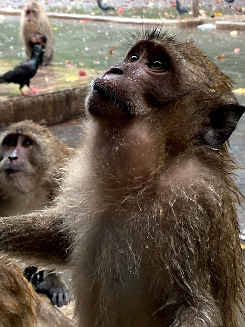 baie de Phang Nga, James bon island, bouddha couché, thaïlande, les petites bulles de ma vie